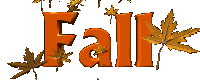 fall leaves