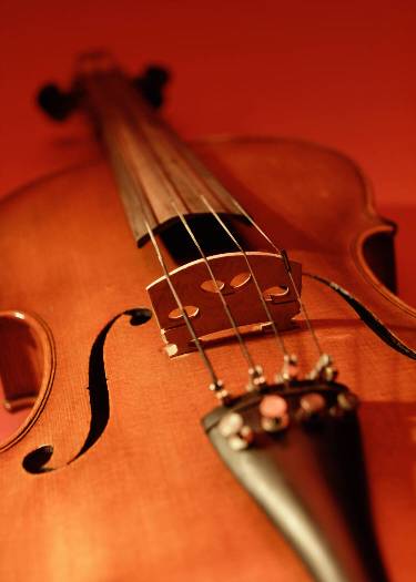 violin
