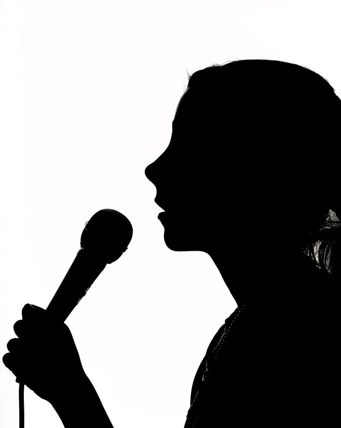 Voice
